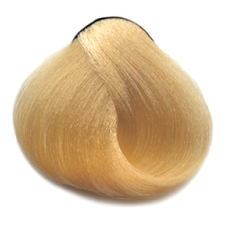 11.3 - Super Pastel Gold Blonde - (11G) - Dikson Color Extra Premium **Damaged Box & Squished Tube** BLUE BOX