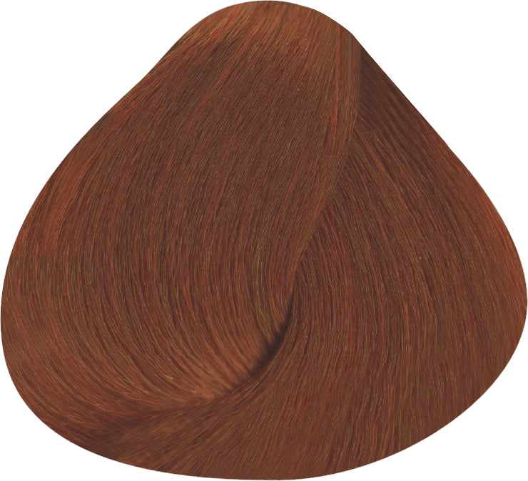 カラーリング剤セット P-21 9WB 7WB 8CBB 34本 8.34 - Light Golden Copper Blonde 100ml - Artistique Experience